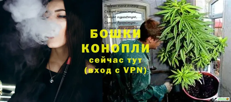 Бошки Шишки Ganja  MEGA онион  Кировск 